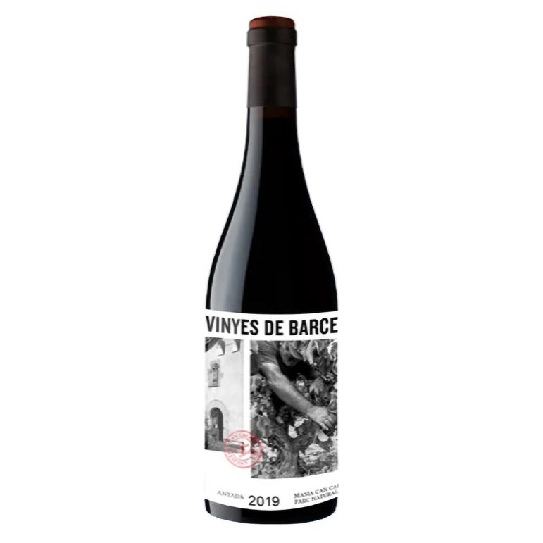 L'Olivera Vinyes de Barcelona, 2019 (7439662317767)